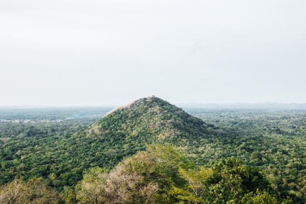 Scenic Tea Trails & Hill Country Tour