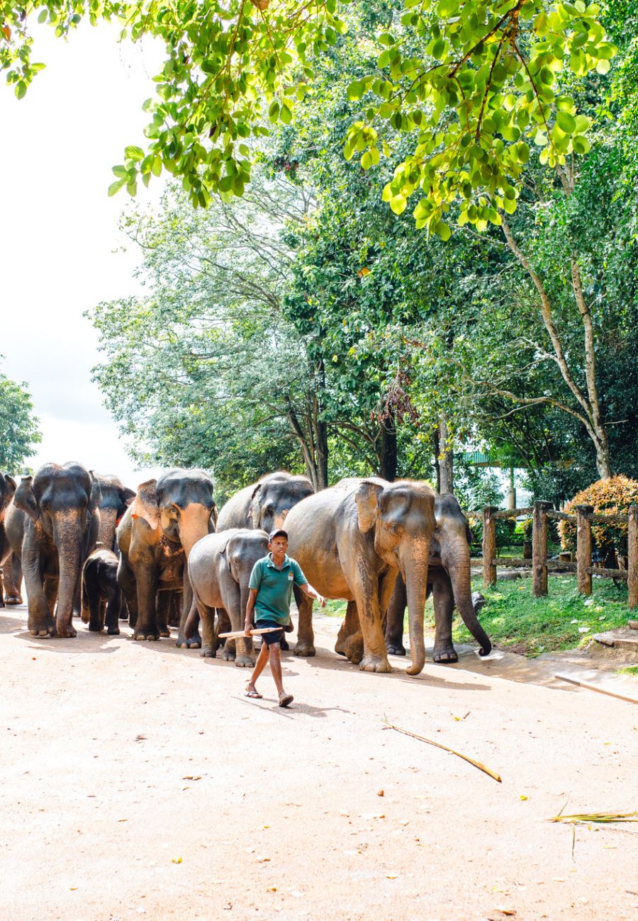 Yala National Park