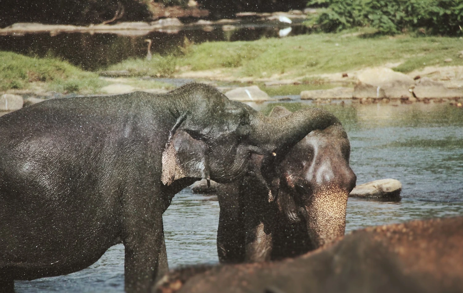 Sri Lanka 